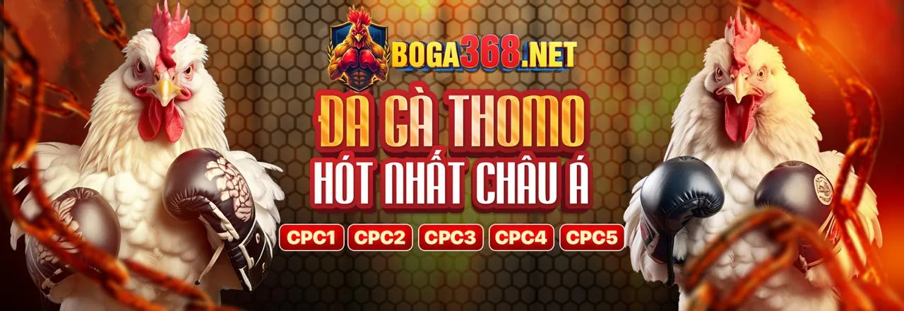 Đá gà trực tuyến trên Kubet App 2026
